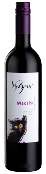 Macska Portugieser