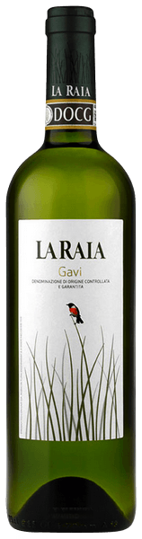 Gavi