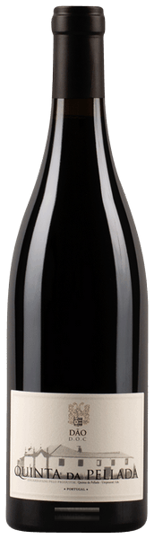 Tinto
