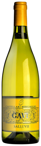 Salluvii Gavi