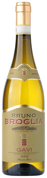 Bruno Gavi
