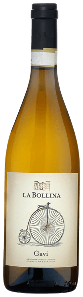 Gavi