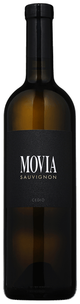 Sauvignon