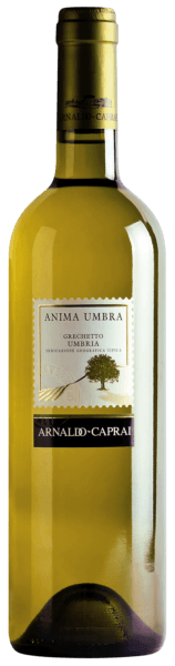 Anima Umbra Grechetto