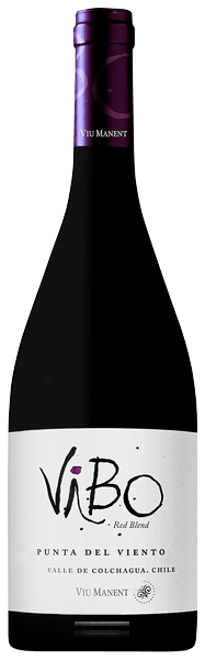 ViBo Punta del Viento