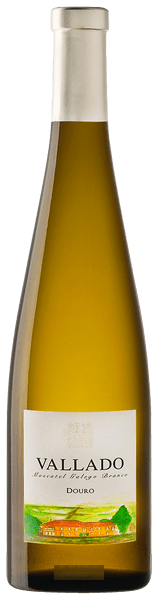 Moscatel Galego Douro Branco