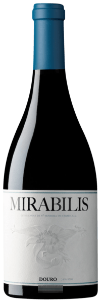 Mirabilis Tinto