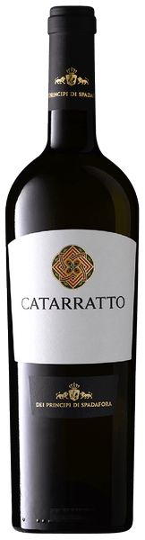 Catarratto