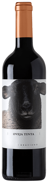 Oveja Tinta Graciano