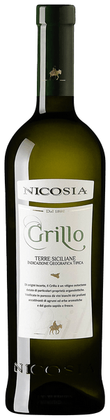Grillo