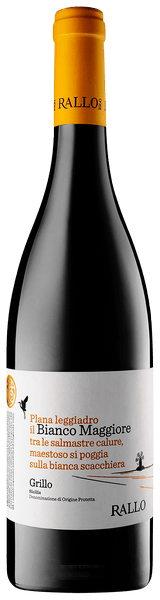 Bianco Maggiore