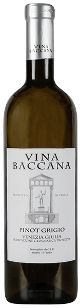 Pinot Grigio
