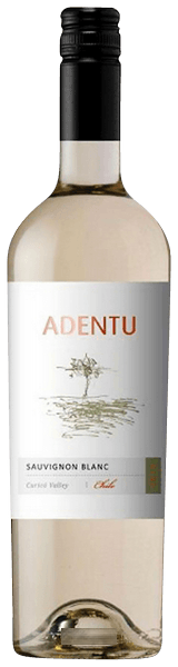 Adentu Sauvignon Blanc