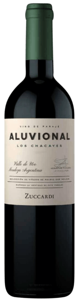 Aluvional Los Chacayes