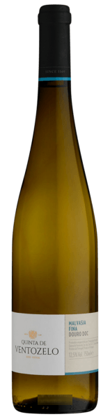 Malvasia Fina