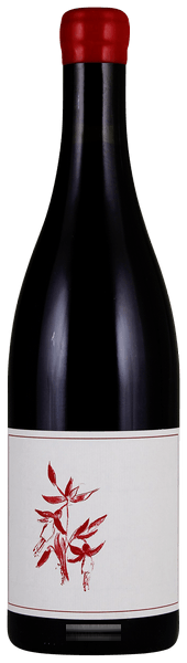 Gamay Noir