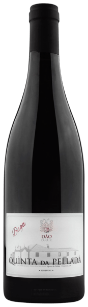 Baga Tinto
