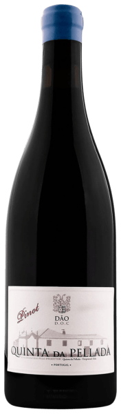 Pinot