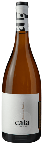 Chardonnay Barrica
