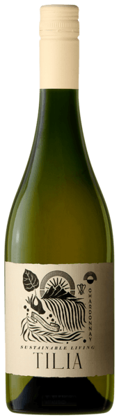 Chardonnay