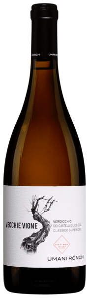 Vecchie Vigne Verdicchio dei Castelli di Jesi Classico Superiore